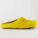 Foto del perfil de marni