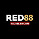 Foto del perfil de RED888