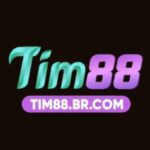 Foto del perfil de TIM88