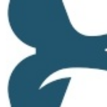 Foto del perfil de dolphin halong