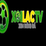 Foto del perfil de Xoilac tv