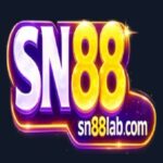 Foto del perfil de SN88