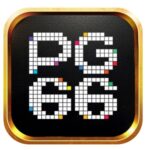 Foto del perfil de PG66