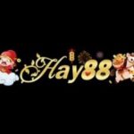 Foto del perfil de Hay88