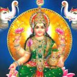 Foto del perfil de ravimehera