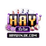 Foto del perfil de Haywin - Link Truy Cập Cổng Game Giải Trí Trực Tuyến 2026