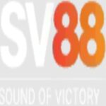 Foto del perfil de Apl9tqa Nhà cái