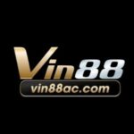 Foto del perfil de VIN88 ORGUK