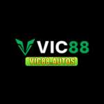 Foto del perfil de VIC88