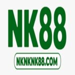 Foto del perfil de Nknknk88 com