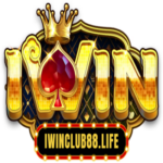 Foto del perfil de IWIN