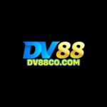 Foto del perfil de DV88 COCOM