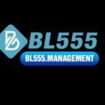 Foto del perfil de bl555management