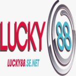 Foto del perfil de CEO Trần Ngọc Hải