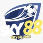 Foto del perfil de CEO Trần Quốc Đạt