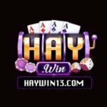 Foto del perfil de Hay Win