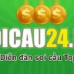 Foto del perfil de Soi Cầu 24h