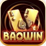 Foto del perfil de Baowin - Cổng Game Bài Đổi Thưởng