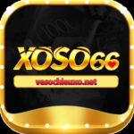 Foto del perfil de Vesochieuxo net