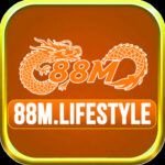 Foto del perfil de 88M lifestyle