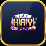 Foto del perfil de 2Haywin io