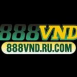 Foto del perfil de 888VND Rucom