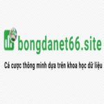 Foto del perfil de BongdaNET 66