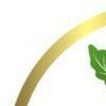 Foto del perfil de Generic Provigil Cost. Rx Express