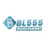 Foto del perfil de BL555