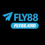 Foto del perfil de Fly88