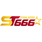 Foto del perfil de St666 autos