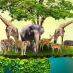 Foto del perfil de Lecce Biodiversity