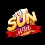 Foto del perfil de sun win