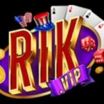 Foto del perfil de rik vip