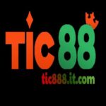 Foto del perfil de TIC88 com