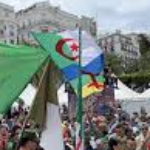 Foto del perfil de elmihwar Algeria