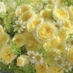 Foto del perfil de xesavir276