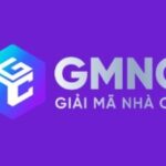 Foto del perfil de Gmnc studio