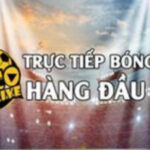 Foto del perfil de Socolive TV Trực Tiếp Bóng Đá