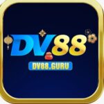 Foto del perfil de dv88 guru