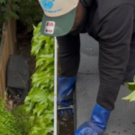 Foto del perfil de Gutter Cleaning Mississauga