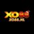 Foto del perfil de Xo88 Nl