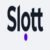 Foto del perfil de Slott