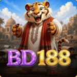 Foto del perfil de bd188