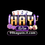 Foto del perfil de 99haywin it com