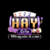 Foto del perfil de 99haywin it com