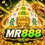 Foto del perfil de mr888