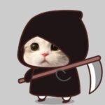 Foto del perfil de verity