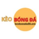 Foto del perfil de Keobongda88 org