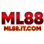 Foto del perfil de ml88 itcom